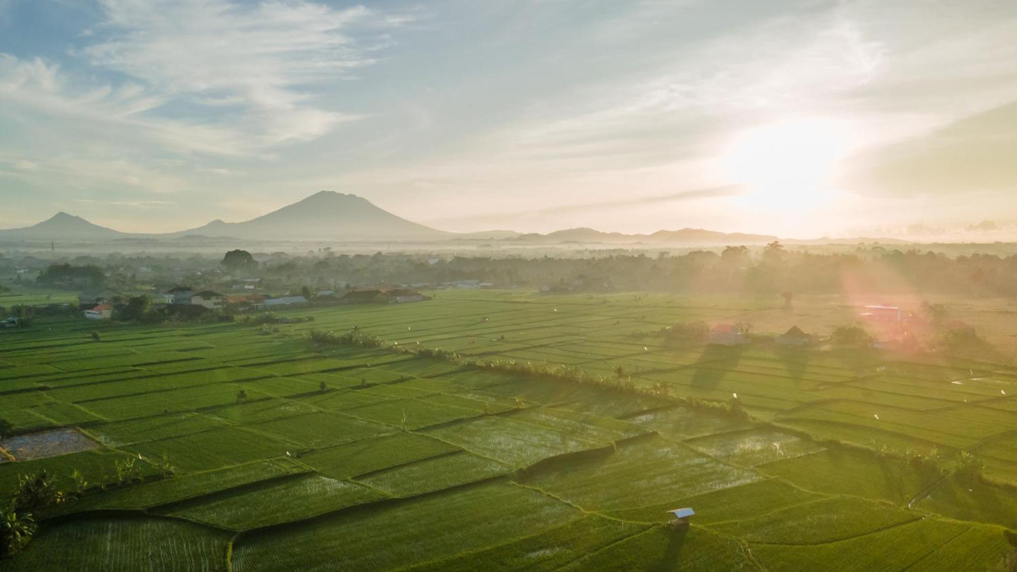 Aswanaya Villas Ubud Eksteriør bilde