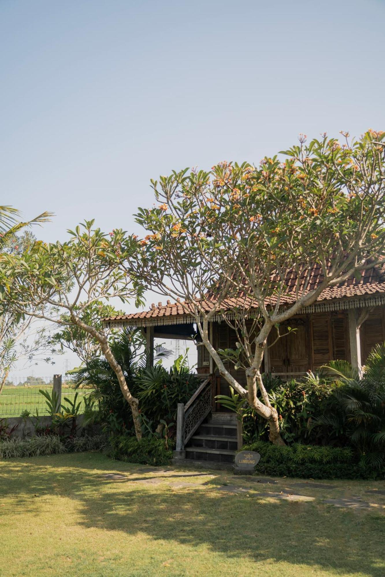 Aswanaya Villas Ubud Eksteriør bilde