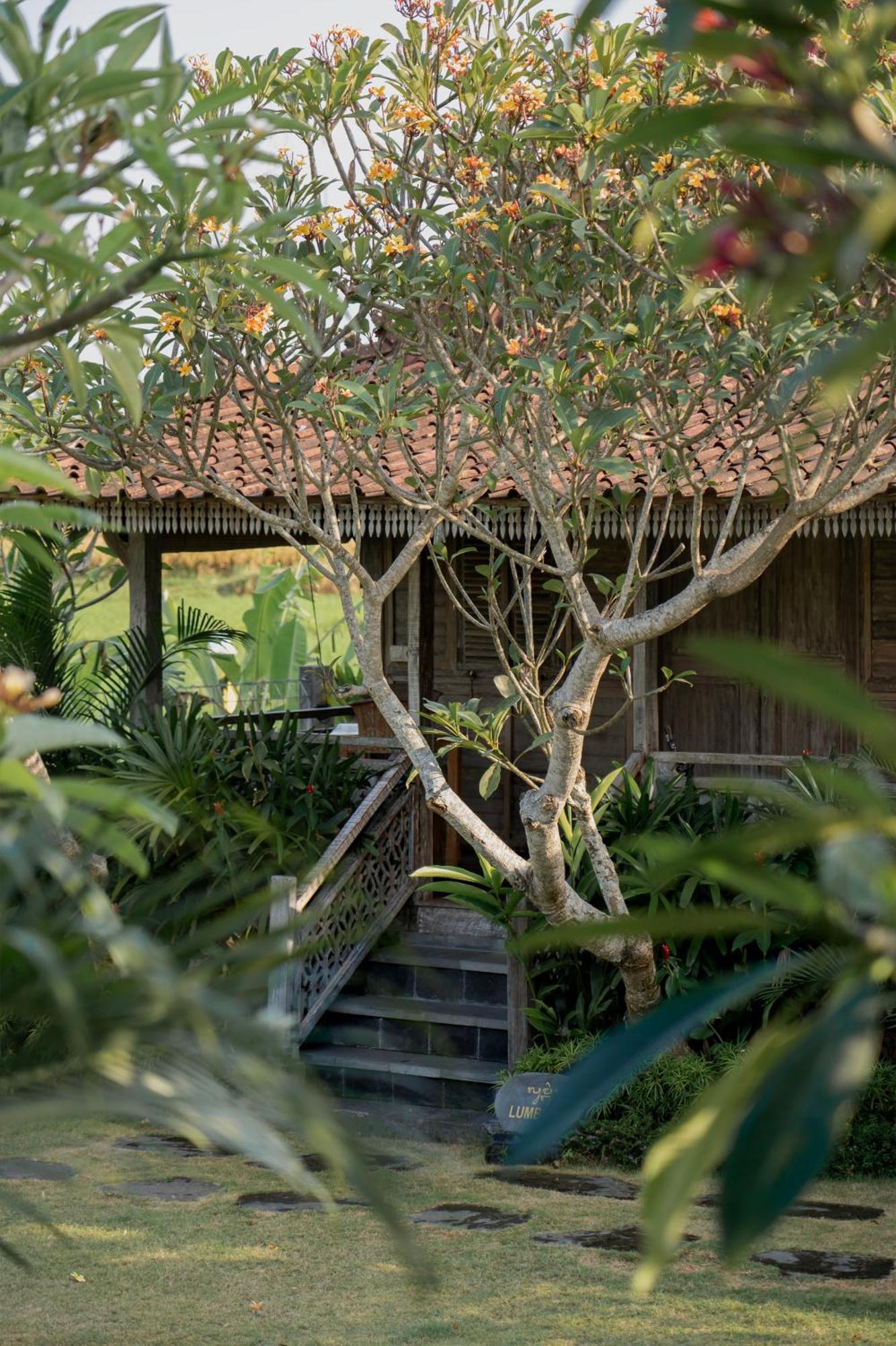 Aswanaya Villas Ubud Eksteriør bilde